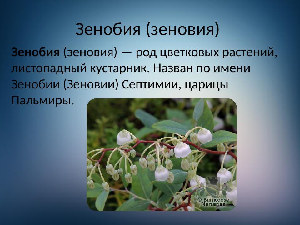 Slide 12