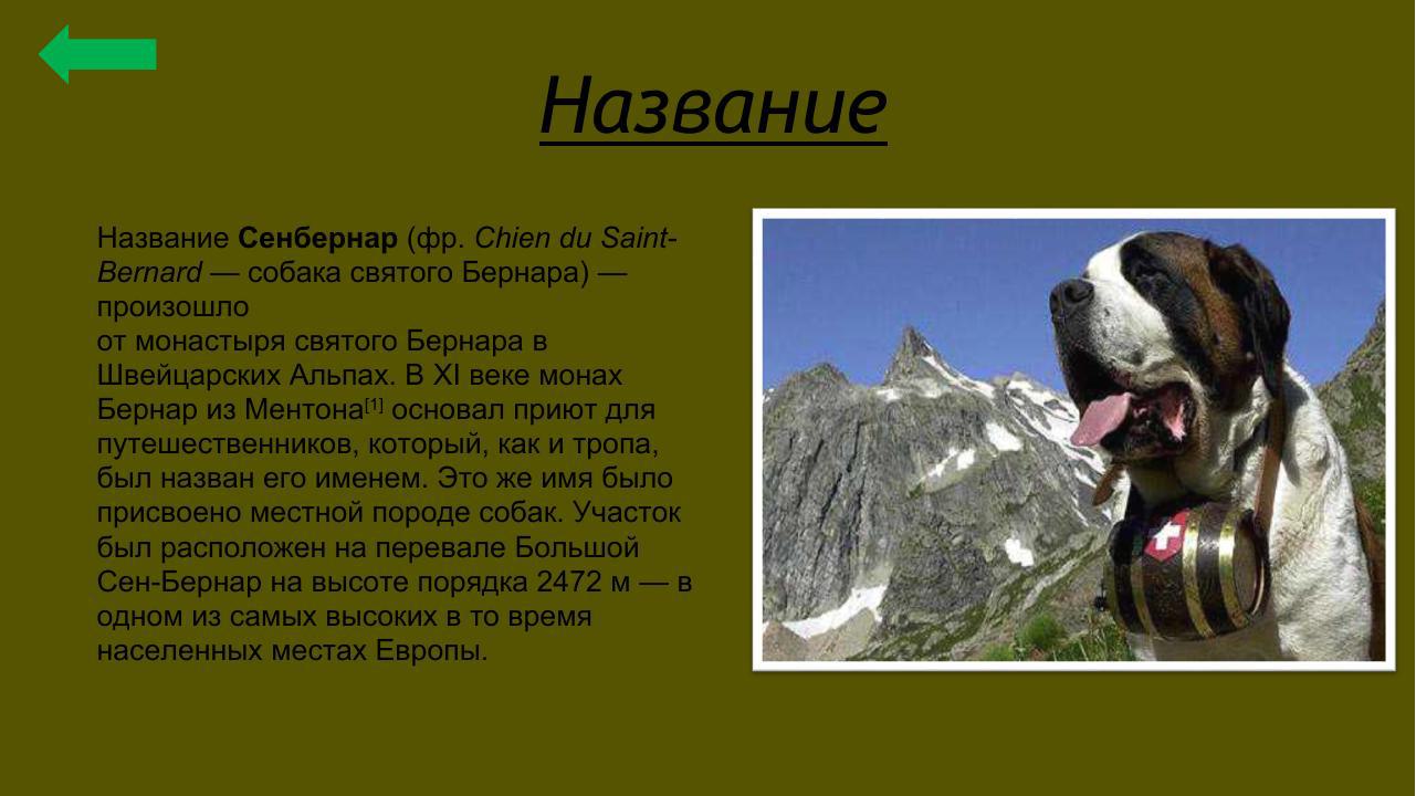 Slide 36